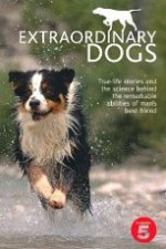 Watch Extraordinary Dogs Freemovieswatch